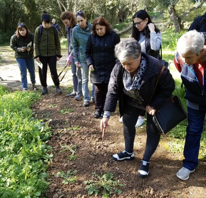 ΒΟΤΑΝΙΚΟΣ ΚΗΠΟΣ ΚΕΦΑΛΟΝΙΑΣ- ΕΡΓΑΣΤΗΡΙΟ ΣΥΛΛΟΓΗΣ ΑΓΡΙΩΝ ΧΟΡΤΩΝ