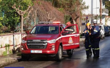 Άμεση επέμβαση της Πυροσβεστικής για φωτιά στον Κήπο του Νάπιερ – αποφεύχθηκαν τα χειρότερα