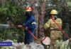 Ένωση Προσωπικού Λιμενικού Σώματος Κεφαλληνίας και Ιθάκης :Στεκόμαστε στο πλευρό των εποχικών πυροσβεστών Κεφαλονιάς και Ιθάκης