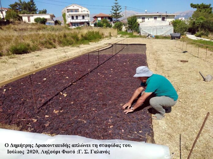 Η υπό εξαφάνιση Ληξουριώτικη περιουσία