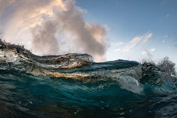 “Υποθαλάσσιες πολυμορφίες” –Μια σπουδαία έκθεση που αναδεικνύει τον θαλάσσιο κόσμο της Κεφαλονιάς