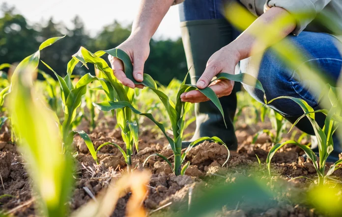 Ε.Α.Σ.:Ξεκινά η υποβολή της Ενιαίας Αίτησης – Ο.Σ.Δ.Ε. 2024 Ε.Α.Σ.Ξεκινά η υποβολή της Ενιαίας Αίτησης – Ο.Σ.Δ.Ε. 2024