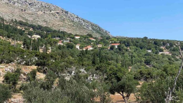 Κεφαλονιά:Στο νοσοκομείο 3 άνδρες από τσίμπημα οχιάς στο χωριό Αργίνια