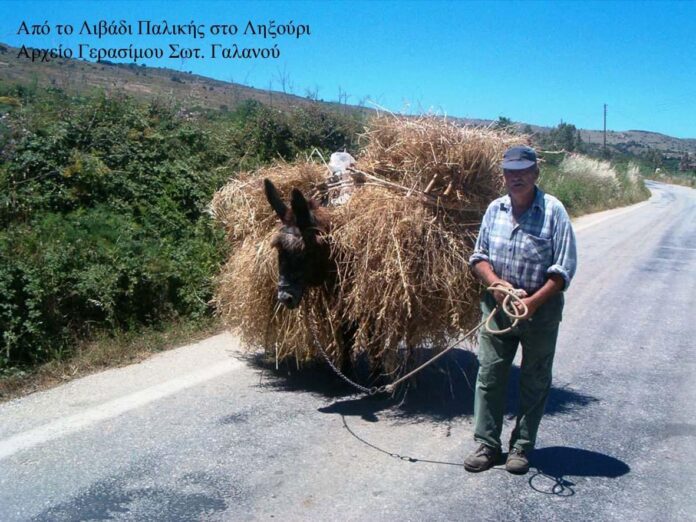 Οι λογγοφόροι του Ληξουρίου.Γράφει ο Γεράσιμος Σωτ. Γαλανός