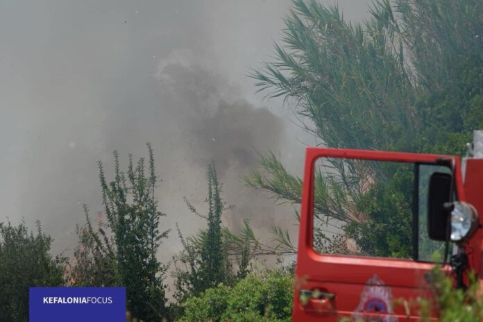Ιθάκη:Τσουχτερό πρόστιμο σε αλλοδαπό για άναμμα φωτιάς στην ύπαιθρο