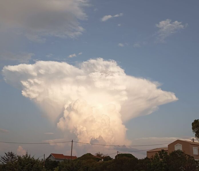 Όταν η φύση με ρομαντική μονοτονία σχεδιάζει την άνοιξη της ζωής μας