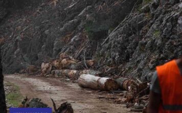 Απαγόρευση κυκλοφορίας οχημάτων και εκδρομέων στον Εθνικό Δρυμό Αίνου και σε περιοχές με υψηλή επικινδυνότητα εκδήλωσης πυρκαγιάς από Τετάρτη 12 Αυγούστου (21:00) έως Παρασκευή 14 Αυγούστου (9:00).