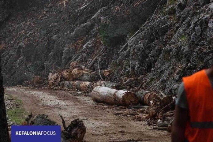 Παράταση απαγόρευσης κυκλοφορίας οχημάτων και εκδρομέων στον Εθνικό Δρυμό Αίνου από σήμερα Δευτέρα 04 Νοεμβρίου έως Τετάρτη 13 Νοεμβρίου.