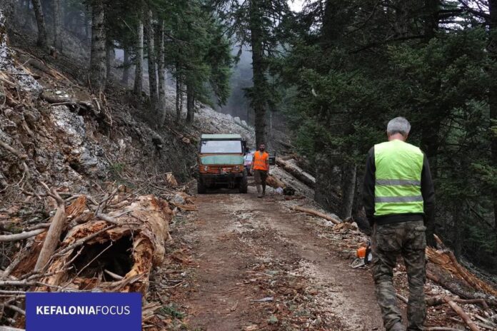 Παράταση απαγόρευσης κυκλοφορίας οχημάτων και εκδρομέων στον Εθνικό Δρυμό Αίνου από αύριο Σάββατο 12 Οκτωβρίου έως Παρασκευή25 Οκτωβρίου.
