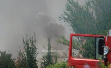 Π. Καππάτος: Οι Δήμοι Κεφαλονιάς & Ιθάκης ενισχύονται για την πυροπροστασία με αυξημένη χρηματοδότηση