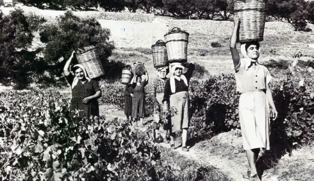 «Τον καιρό της σταφίδας: Παρελθόν, παρόν και μέλλον της μαύρης σταφίδας.Εκδήλωση στο Ληξούρι»