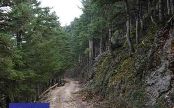 Απαγόρευση κυκλοφορίας οχημάτων και παραμονής εκδρομέων στον Εθνικό Δρυμό Αίνου