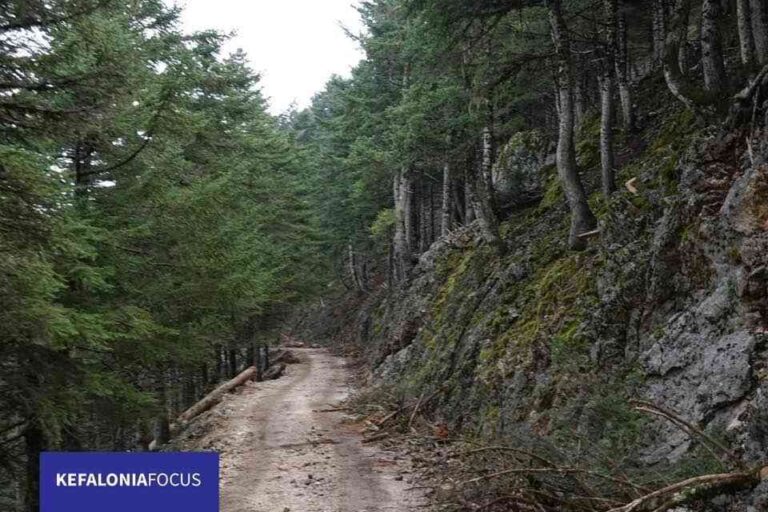 Απαγόρευση κυκλοφορίας οχημάτων και παραμονής εκδρομέων στον Εθνικό Δρυμό Αίνου