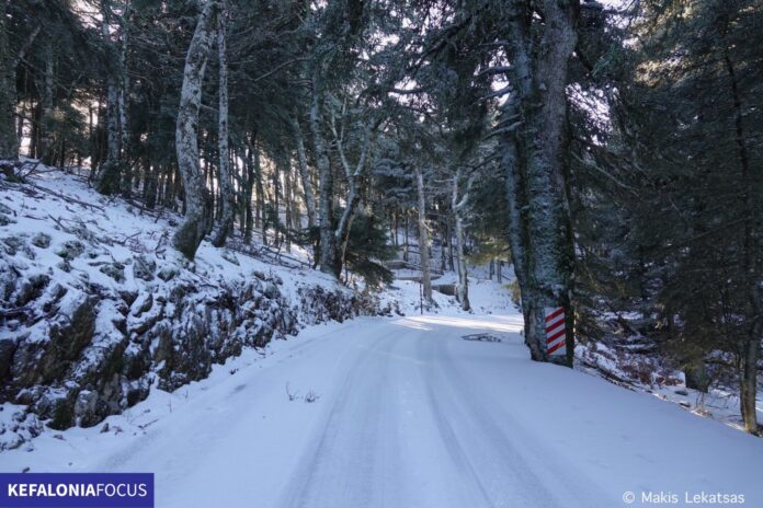 Κεφαλονιά:Κλειστός θα παραμείνει ο Εθνικός Δρυμός Αίνου λόγω χιονόπτωσης και παγετού