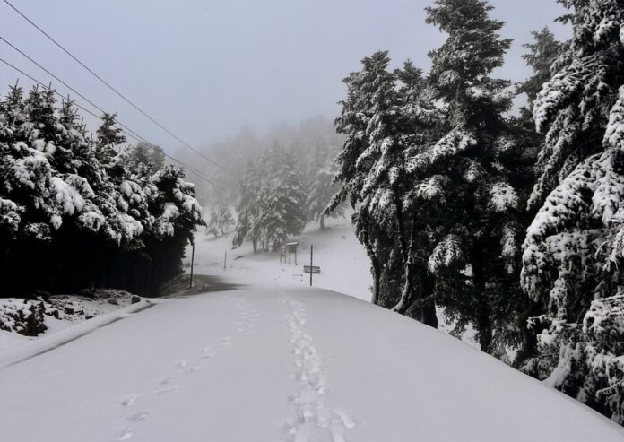 Μόνο με αλυσίδες ή πρόσβαση στον Εθνικό Δρυμό