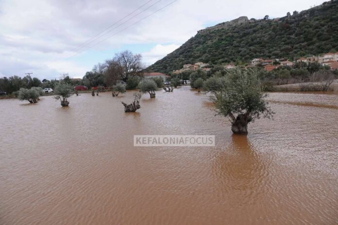 Δήμος Αργοστολίου:Ενημέρωση για τις ζημιές σε αγροτικές εκμεταλλεύσεις από την κακοκαιρία