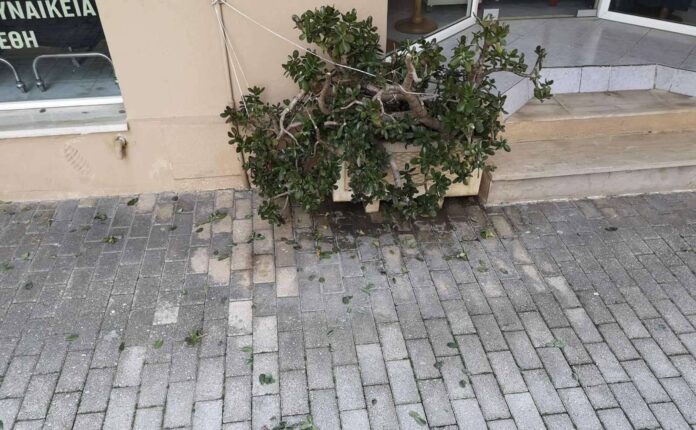 Αργοστόλι:Καταγγελία καταστηματάρχη για φθορές στον εξωτερικό χώρο του καταστήματος του στην οδό Βανδώρου