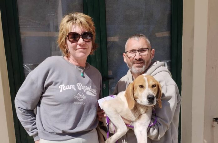 Υιοθετήθηκε το εγκαταλελειμμένο σκυλάκι του Αίνου