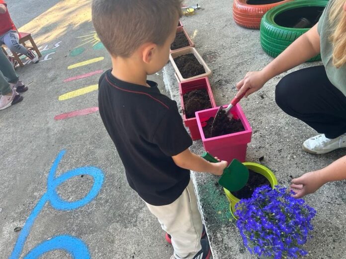 Μια ξεχωριστή και δημιουργική δράση στο 5ο Νηπιαγωγείο Αργοστολίου«Την αυλή μου ομορφαίνω… με χαρά εγώ μαθαίνω»