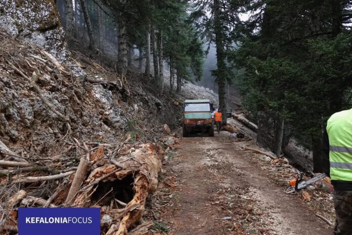 Οικολογικό σκάνδαλο ευρωπαϊκών διαστάσεων στο πρόγραμμα Antinero που εκτελέστηκε και στην Κεφαλονιά