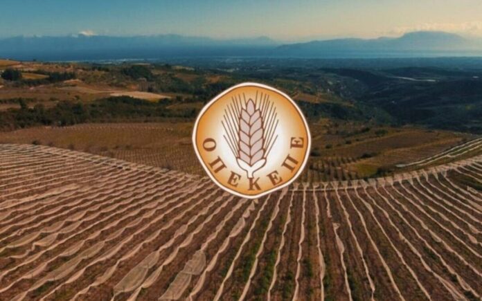 Νίκος Ανδρουλάκης: Άριστοι στην κακοδιαχείριση και πρωταθλητές στα πρόστιμα