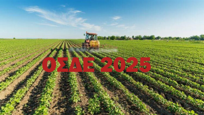 Ε.Α.Σ. : 6 λόγοι για να υποβάλεις αίτηση αγροτικής επιδότησης