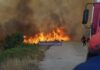 Πυρκαγιά στα Κουβαλάτα Παλλικής – Συναγερμός στην Πυροσβεστική