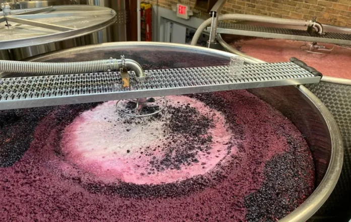 Κορυφώνονται οι ζυμώσεις.