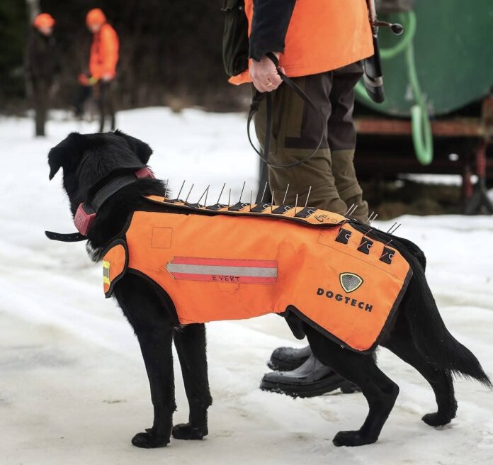 Η ψευδαίσθηση της προστασίας: τι πραγματικά προσφέρουν τα γιλέκα για τους λύκους