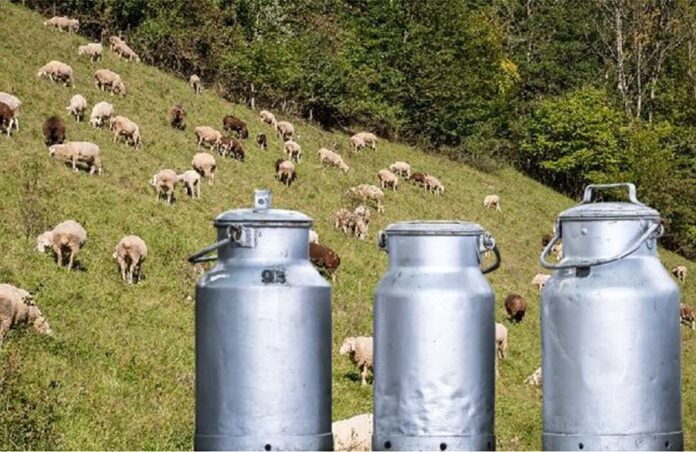 Διακίνηση νωπού γάλακτος αιγοπροβάτων στην Κεφαλονιά – Ειδικά μέτρα μετά τα κρούσματα ευλογιάς