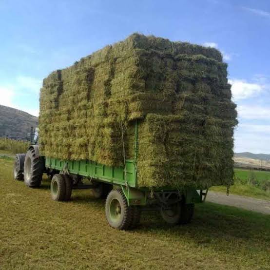 Αυστηρά μέτρα για τη διακίνηση γάλακτος και ζωοτροφών στην Κεφαλονιά λόγω ευλογιάς αιγοπροβάτων