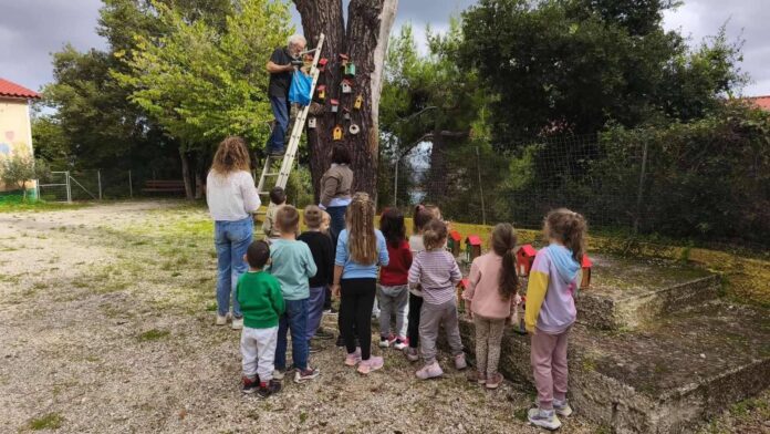 Μεγάλη χαρά έδωσαν οι φωλίτσες και ταΐστρες στα παιδιά του Νηπιαγωγείου του Πόρου Κεφαλονιάς!