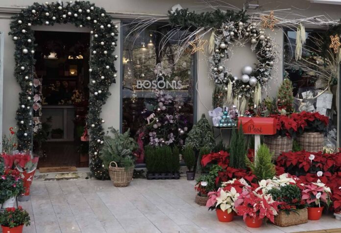 Αφήστε τη μαγεία των Χριστουγέννων να ανθίσει… στο Bosonis art & Flower.