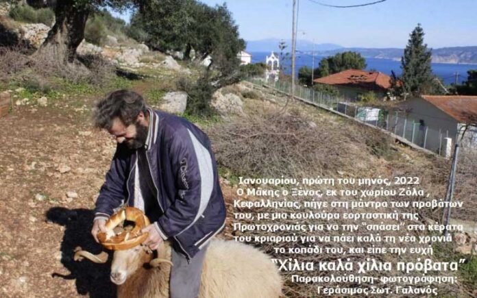 Ανήμερα την Πρωτοχρονιά, οι χωρικοί και οι τσοπαναραίοι στην Κεφαλονιά … «εθιμοτυπούσαν» για την οικιακή οικονομία τους
