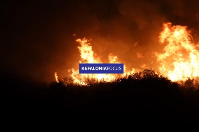 Υπό έλεγχο η φωτιά στους Πετανούς χάρη στην άμεση επέμβαση της Πυροσβεστικής