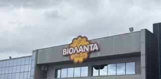 Βιολάντα: Από φούρνος γειτονιάς σε επιχειρηματικό case study – Πώς εκτοξεύτηκε η μπισκοτοβιομηχανία