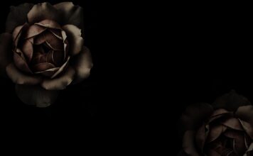 Το δικό μας αντίο στον Νίκο Μανουσάκη.