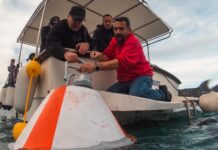 Θαλάσσιο Πάρκο Ιονίου: Το μέλλον των αγκυροβολίων και η αναγκαιότητα της υποχρεωτικής προστασίας