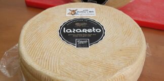 Lazareto – Η νέα γευστική δημιουργία του Χρύσανθου Καραβία: μια γραβιέρα με γάλα γαϊδούρας που δεν μοιάζει με καμία άλλη
