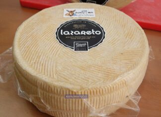 Lazareto – Η νέα γευστική δημιουργία του Χρύσανθου Καραβία: μια γραβιέρα με γάλα γαϊδούρας που δεν μοιάζει με καμία άλλη