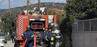 Ιθάκη: Πραγματοποιήθηκε η άσκηση σεισμού «Σεισίχθων 2026»