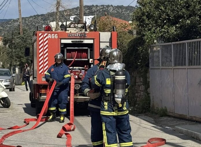 Ιθάκη: Πραγματοποιήθηκε η άσκηση σεισμού «Σεισίχθων 2026» Ιθάκη: Πραγματοποιήθηκε η άσκηση σεισμού «Σεισίχθων 2026»