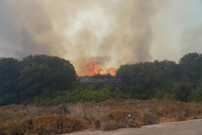 Η άμεση επέμβαση της Πυροσβεστικής έθεσε υπό πλήρη έλεγχο την πυρκαγιά στα Κουβαλάτα Η άμεση επέμβαση της Πυροσβεστικής έθεσε υπό πλήρη έλεγχο την πυρκαγιά στα Κουβαλάτα
