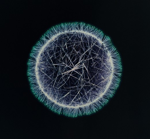 Όχι άλλες χαμένες ζωές – Η Κεφαλονιά υψώνει φωνή ενάντια στα ναρκωτικά Όχι άλλες χαμένες ζωές – Η Κεφαλονιά υψώνει φωνή ενάντια στα ναρκωτικά