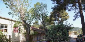 Προληπτικές παρεμβάσεις του Δήμου Ιθάκης για την ασφάλεια μαθητών και εκπαιδευτικών