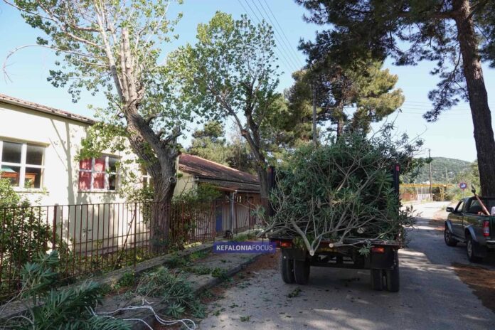 Προληπτικές παρεμβάσεις του Δήμου Ιθάκης για την ασφάλεια μαθητών και εκπαιδευτικών Προληπτικές παρεμβάσεις του Δήμου Ιθάκης για την ασφάλεια μαθητών και εκπαιδευτικών