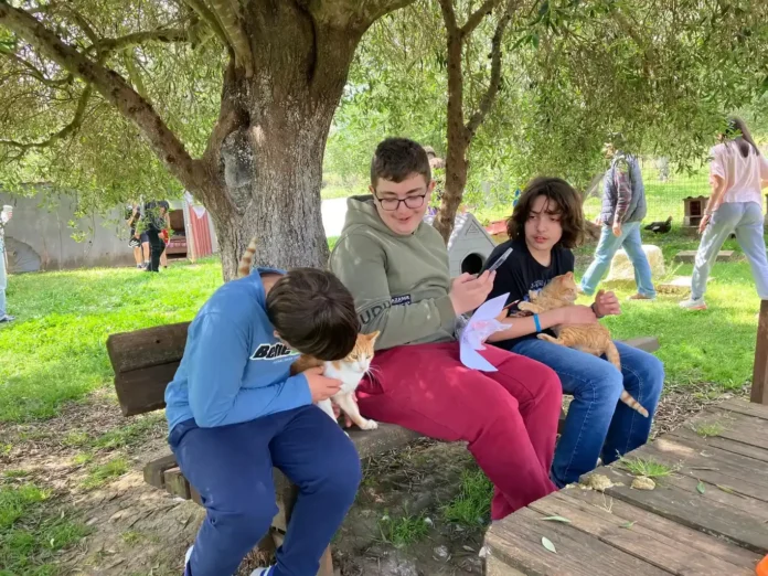 Επίσκεψη και Προσφορά Αγάπης από το 3ο Γυμνάσιο Αργοστολίου στο Καταφύγιο DORIS ARK Επίσκεψη και Προσφορά Αγάπης από το 3ο Γυμνάσιο Αργοστολίου στο Καταφύγιο DORIS ARK