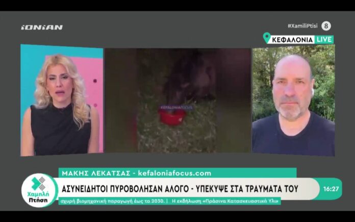 Ionian channel:Σοβαρό περιστατικό κακοποίησης αλόγου στα Μαυράτα Ionian channel:Σοβαρό περιστατικό κακοποίησης αλόγου στα Μαυράτα