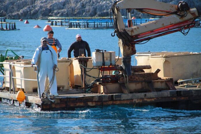Ιχθυοτροφεία Ιθάκης: Η άνοδος, η κατάρρευση και το περιβαλλοντικό αποτύπωμα μιας εποχής Ιχθυοτροφεία Ιθάκης: Η άνοδος, η κατάρρευση και το περιβαλλοντικό αποτύπωμα μιας εποχής