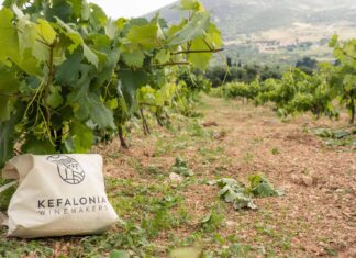 5ο Kefalonia Wine Hub – Η Ρομπόλα στο επίκεντρο: γευσιγνωσία, οινολογία, αμπελουργία